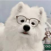 泰尔德的个人资料头像