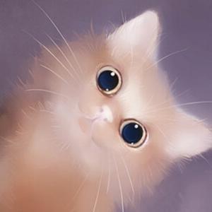 猫眼影视预告片头像