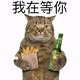 用户4049137635745 · 朗逸车主·车龄1年头像