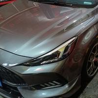 暴走的泰迪仔头像