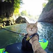 猫墩墩的个人资料头像