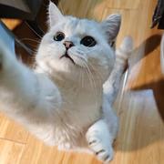 Fergus109的个人资料头像