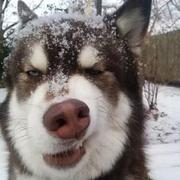 奥村燐的个人资料头像