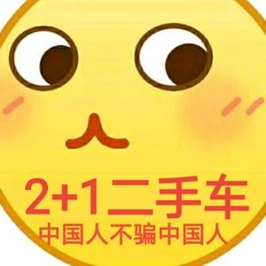 二加一二手车头像