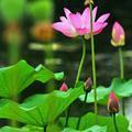 用户91700422头像