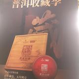视野塞莉斯廷0Y8头像