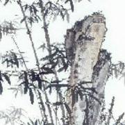 用户3698114046371的个人资料头像