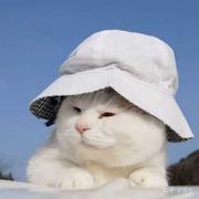 三點的个人资料头像