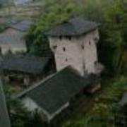 杨建平的个人资料头像