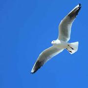 沙滩上的啤酒罐的个人资料头像