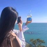 抹茶布丁头像