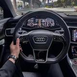 杨杨杨杨杨杨柳头像