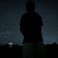 喜庆的柳叶rzo头像