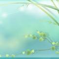 云舒天外1头像