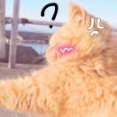 爱学习82044的个人资料头像