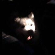 用户1438682627120的个人资料头像