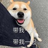 随性自由的漂流瓶GOH头像