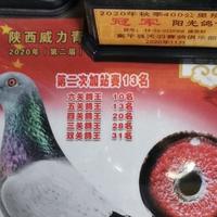 用户2454740620768头像