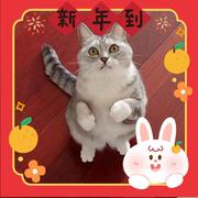 zym423的个人资料头像