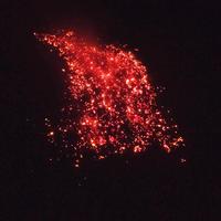 梦手机摄影头像