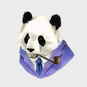 粉红色大笨象的个人资料头像