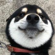 lst的个人资料头像