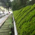 user7901954002921头像