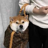 cleung头像