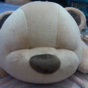 heflyaway的个人资料头像