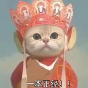 更有甚者的个人资料头像