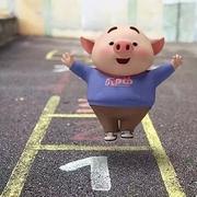 App_Robin的个人资料头像