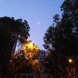 又高又矮头像