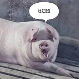 小陈68492头像