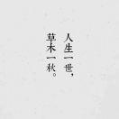 jang的个人资料头像