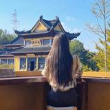 丹松名车头像