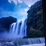 美食家邢台5E3头像