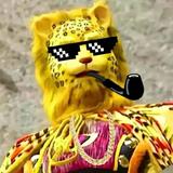 华辰151头像