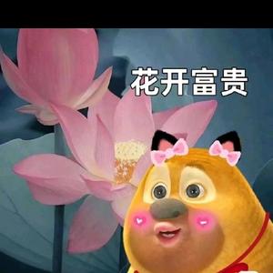 染桃🐽头像