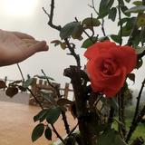 用户5826362312825头像