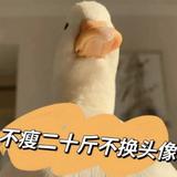 顾逸磊头像
