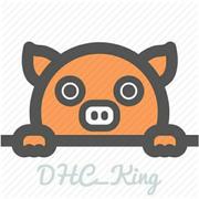 DHC_King的个人资料头像