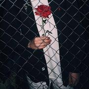 归零358的个人资料头像