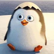 好名字可以让你的朋友更容易记住你193的个人资料头像