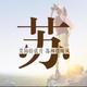 过眼云烟8215头像