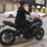 骑母猪爬树头像