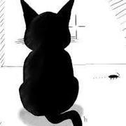 czfadmin的个人资料头像