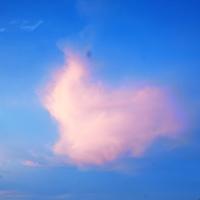 有酒有爱有人生头像