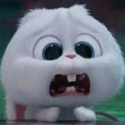 顿顿红烧肉的个人资料头像