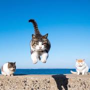 场面一下很难控制的个人资料头像