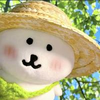 彩大胖子瘦了头像